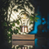 LIGHT EDISON - FLYTE® Flyte