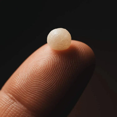 MF WAX Magie Factory